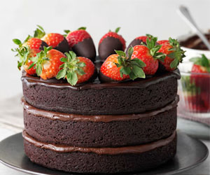 Descripción de la imagen